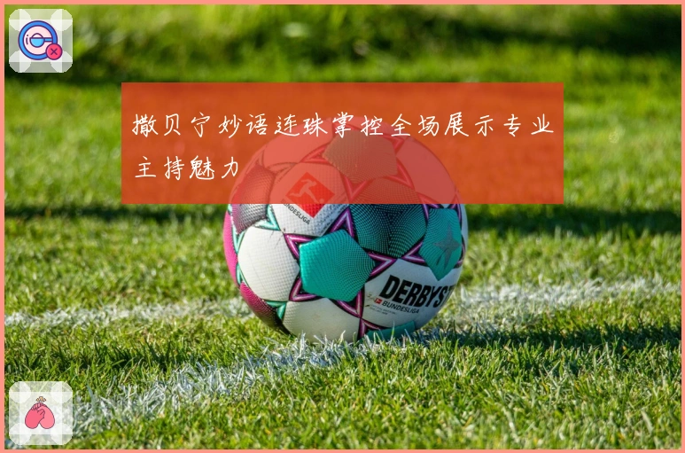 撒贝宁妙语连珠掌控全场展示专业主持魅力