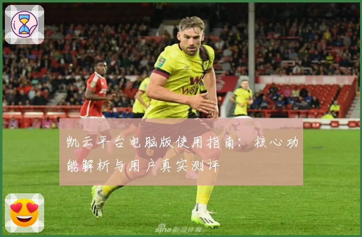 凯云平台电脑版使用指南：核心功能解析与用户真实测评